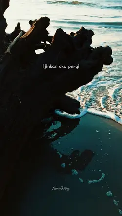 ijinkan aku pergi