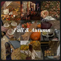 fall & autumn