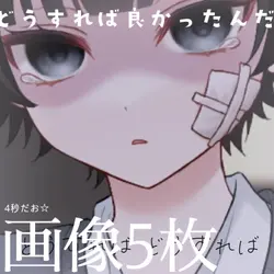 どうすれば良かったんだ