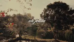 Jelita