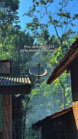 Pov: aktivitas CEO
y