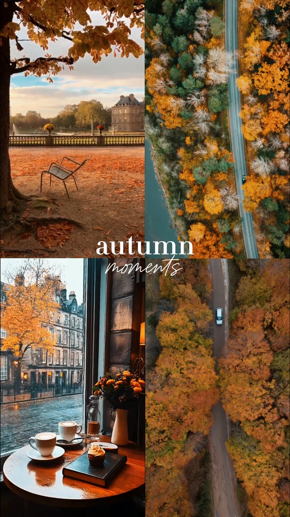 autumn moments