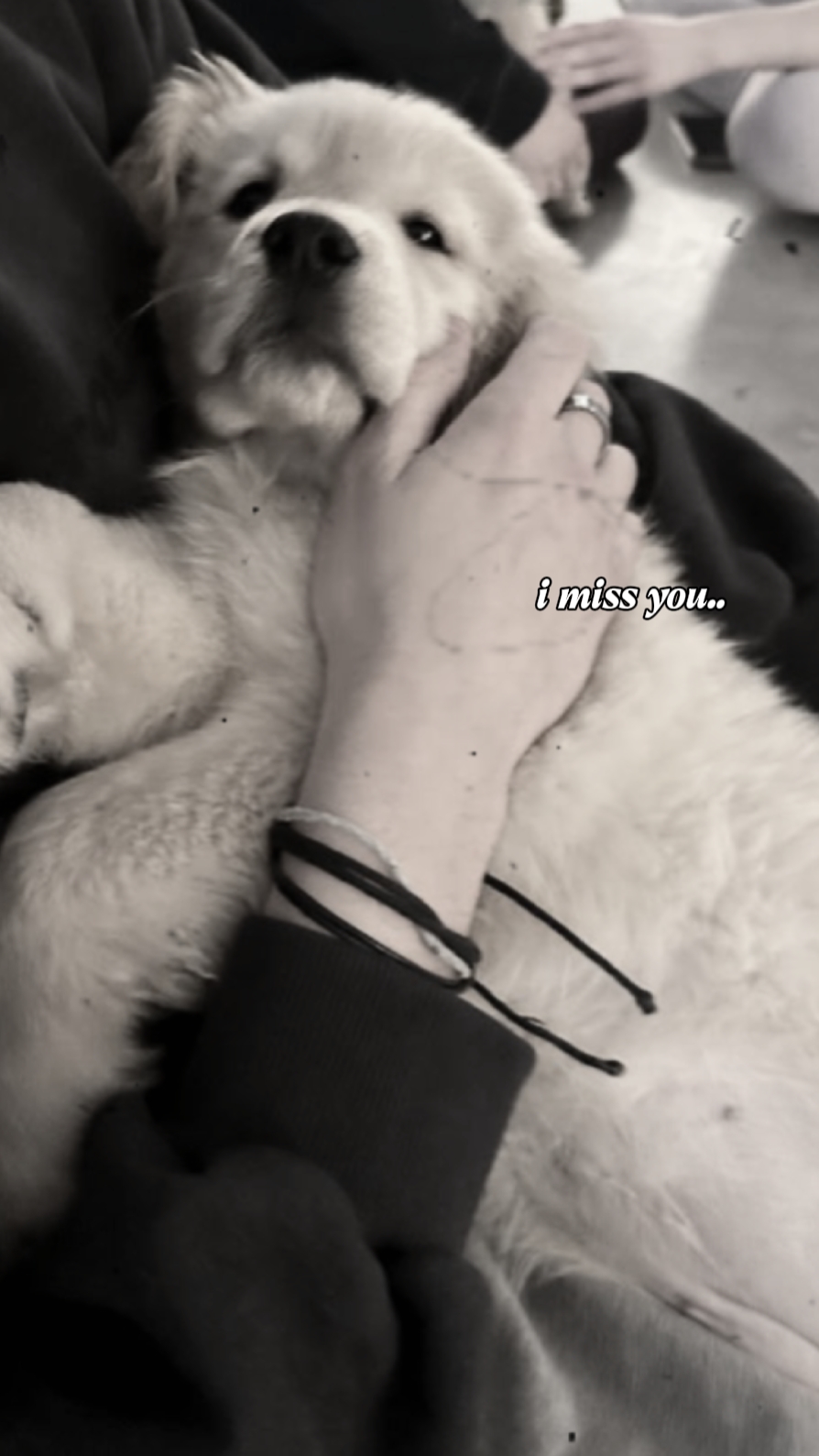 i miss you 