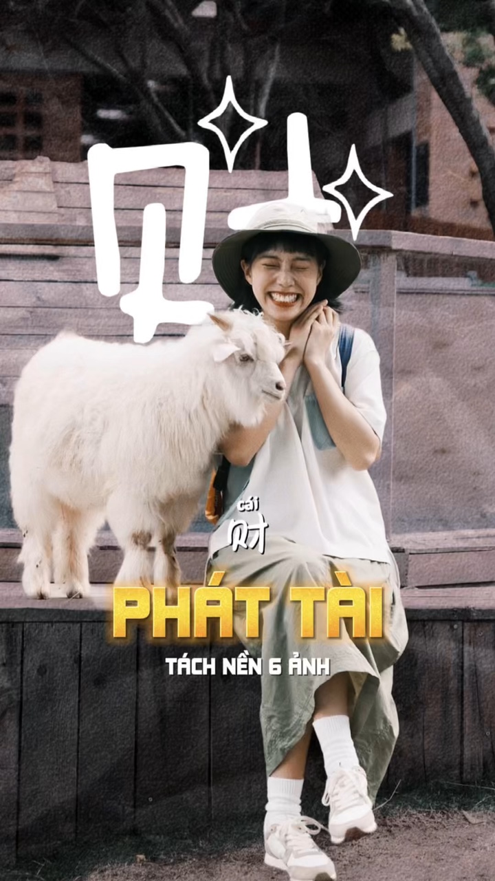 Phát Tài 💰