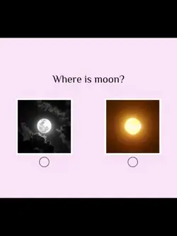 Where is moon? 