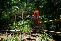 IM A CELEB 🏕️