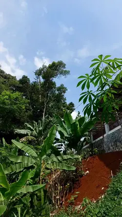 Teumbang Sunda