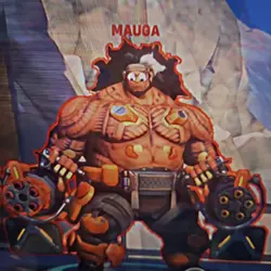 overwatch