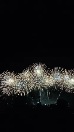 Pyromusical Firework