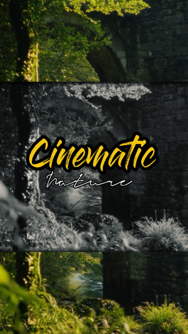 Naturaleza cinematográfica 