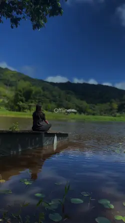 offline na natureza 