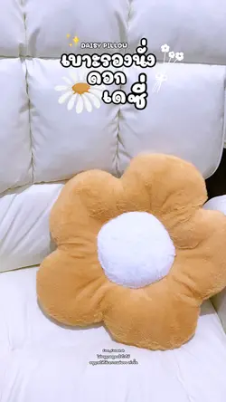 เบาะรองนั่งดอกเดซี่ 🌼✨