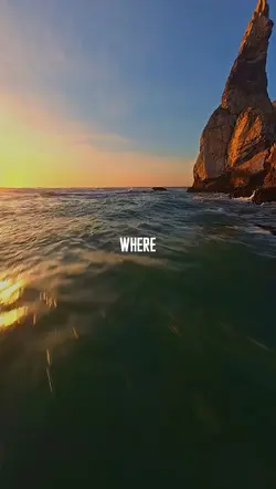 Música letra