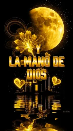 Bendecida noche 
