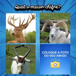 Qual maior chifre kk