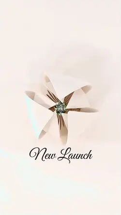 New Launch