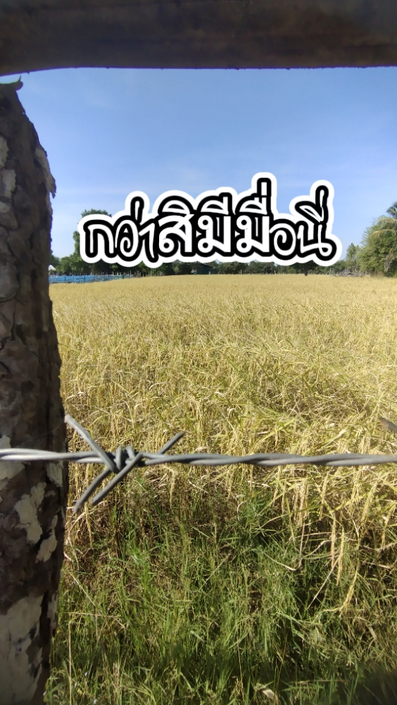 กว่าสิฮอดฝั่งฝัน