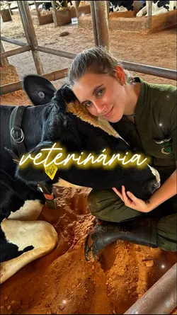 veterinária 
