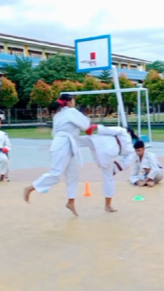 Montage de karaté 