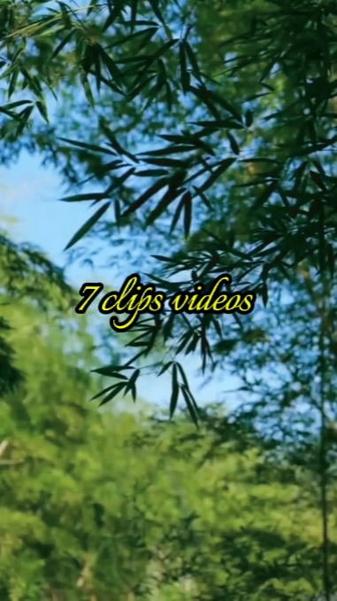 7 clips videos 
