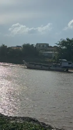 Sông nước miền Tây