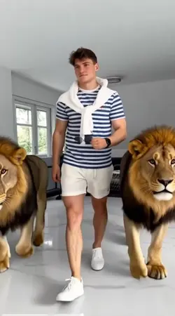 2 lion pet