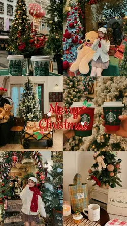 merry christmas 6pic