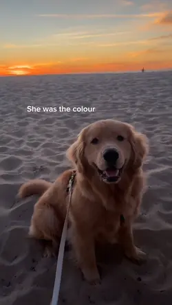 She was the colour