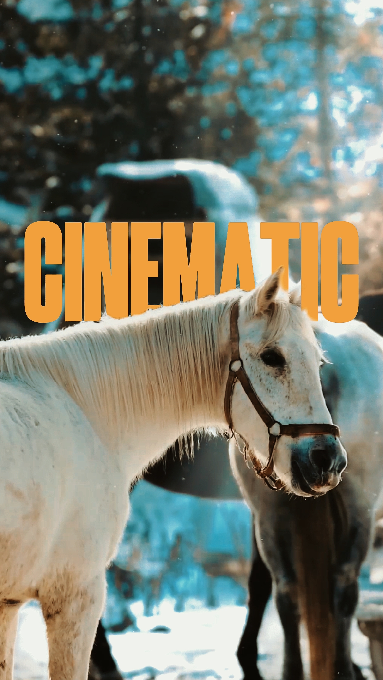 Cinematic Travel 