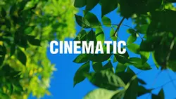 CINEMATIC