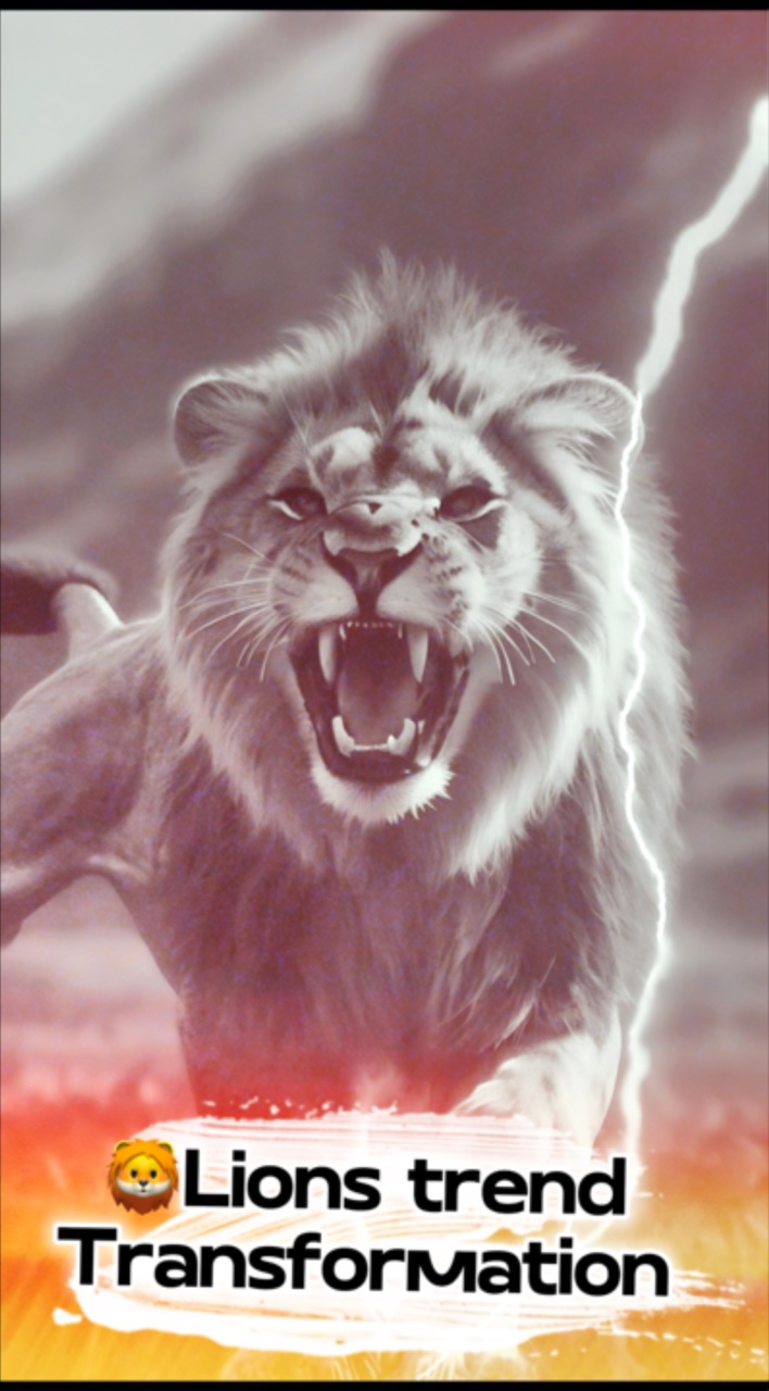 For you 🦁 