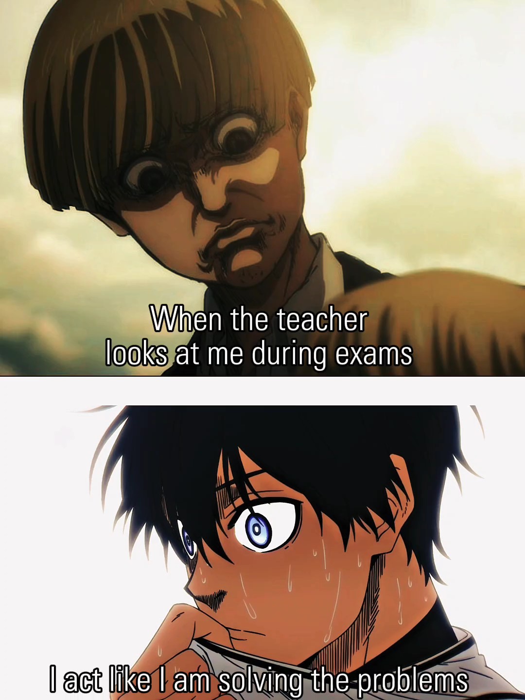 Free meme template 