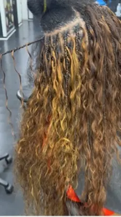 Bora bora braid