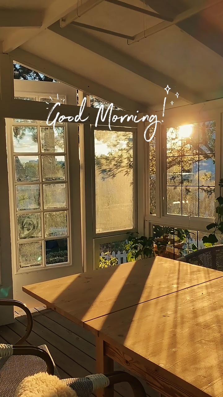 Bom Dia