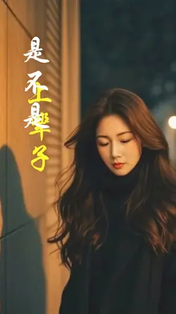 上辈子的罪DJ版