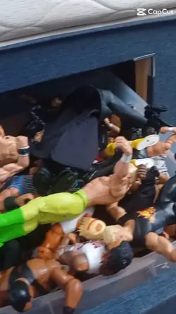 my wwe figures 