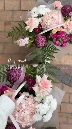 digital diary