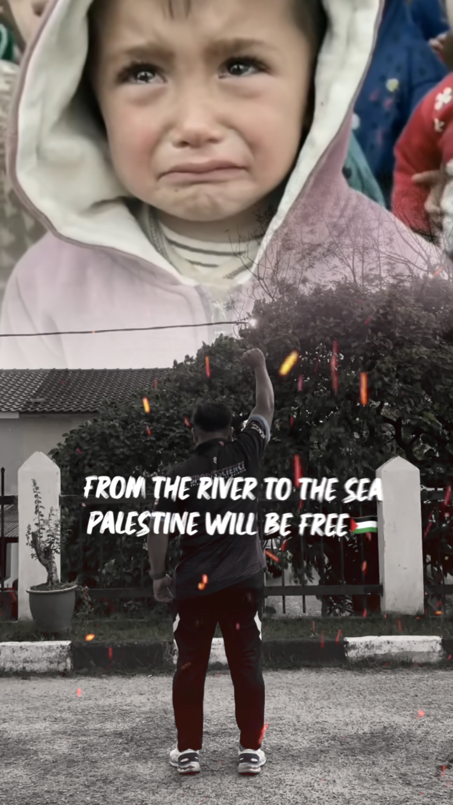 free palestine 🇵🇸