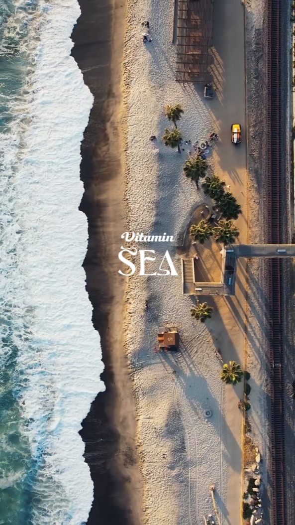 Vitamin Sea