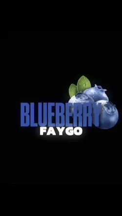 Blueberry 🫐 Faygo
