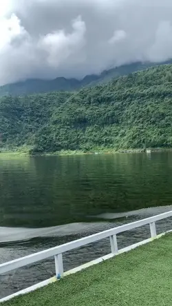 Bird Of Feather🕊️