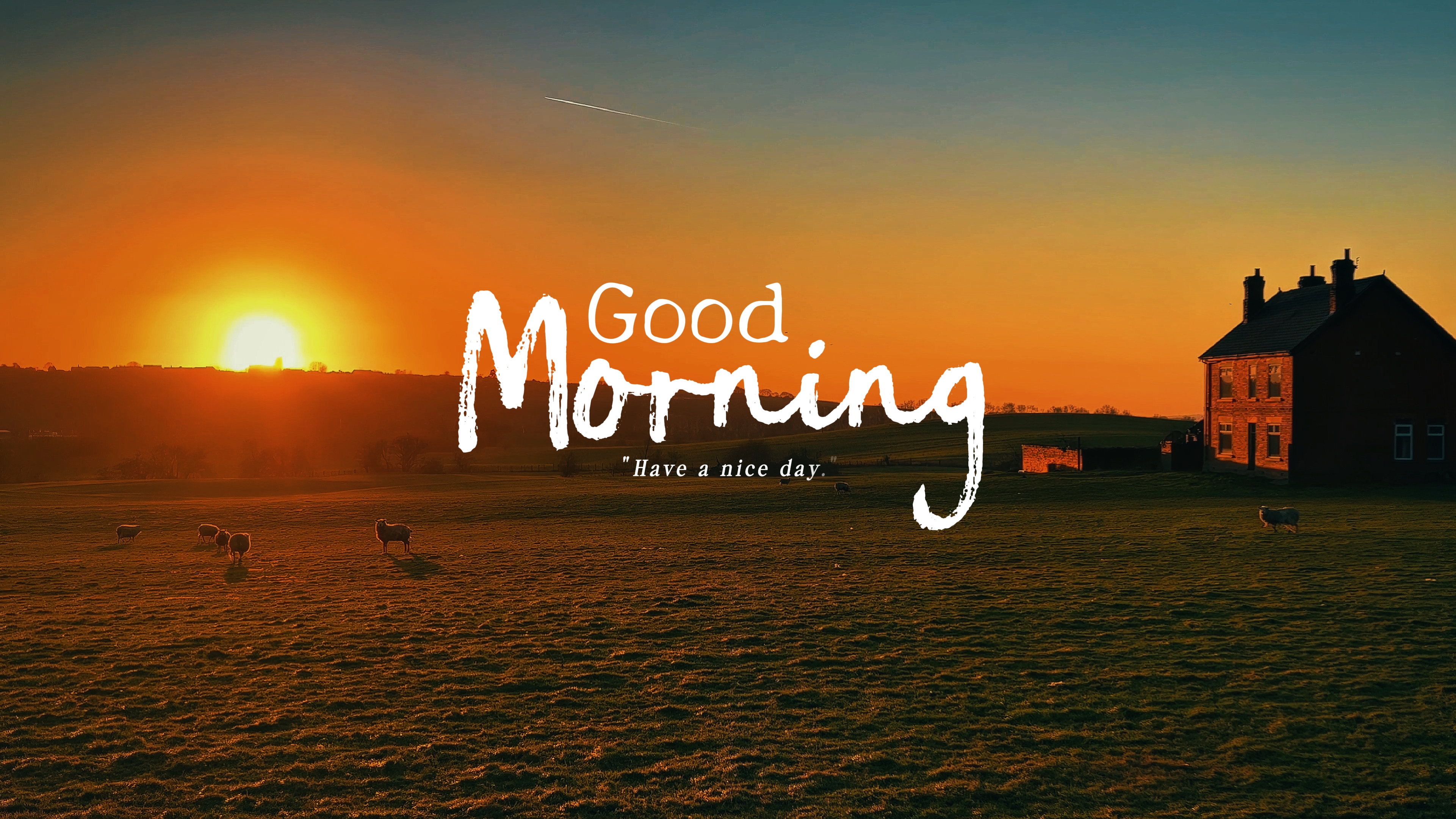 GOOD MORNING