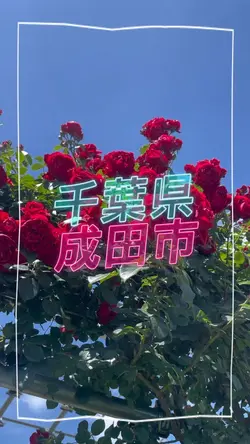 ネオン文字 成田ファームランド