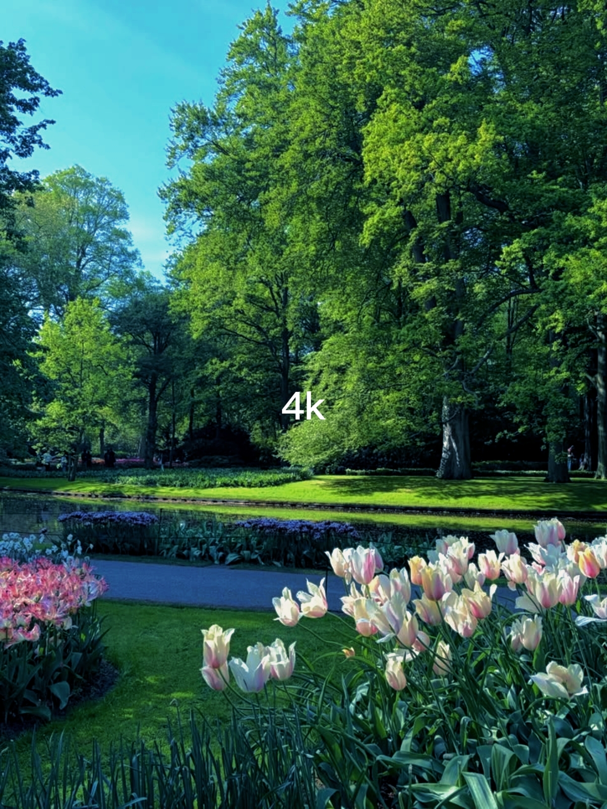 144P vs 4k