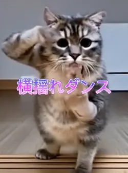 横揺れダンス💃写真1枚