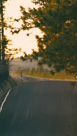 el viejo en el cielo