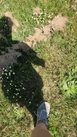 almost eacaped