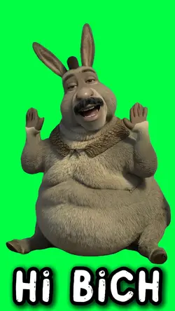 HI BICH SHREK DONKEY