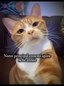 Notre principal enne