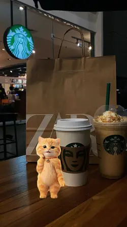 cat dance